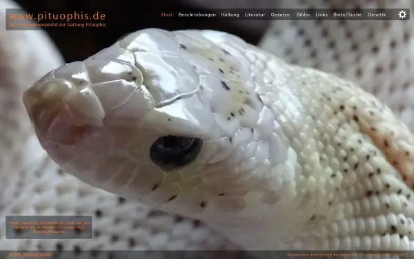 dieterhirschkorn.de