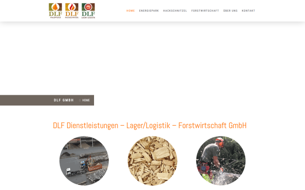 www.dlf-gmbh.de