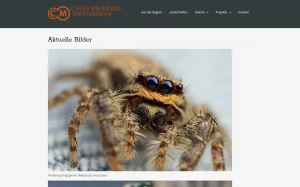 www.cyrusmahmoudi.de