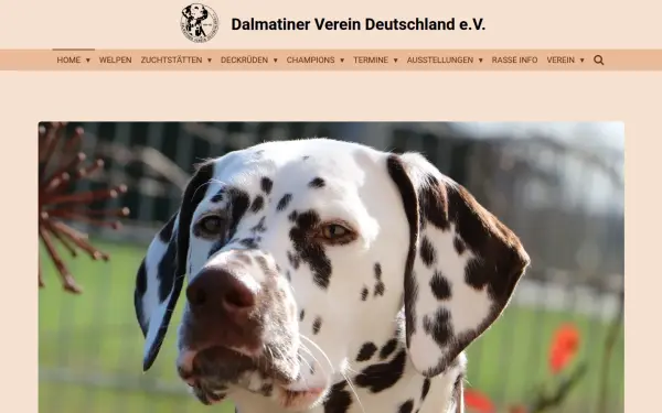 www.dalmatineronline.de