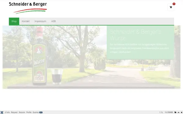 schneider-und-berger.de