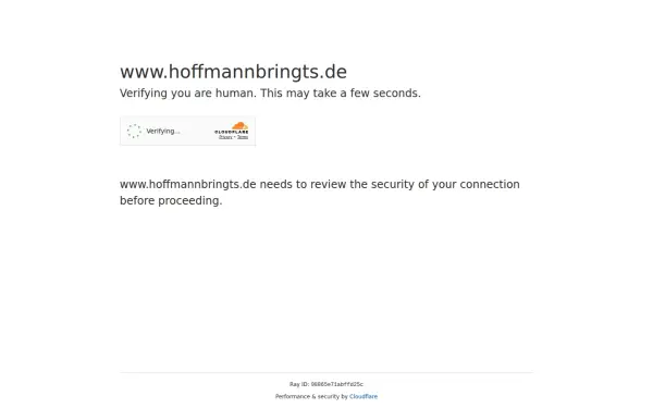 www.hoffmannbringts.de