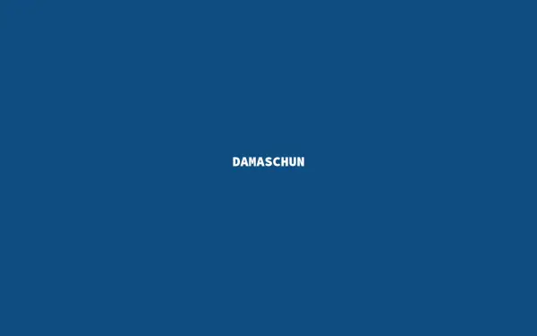 www.damaschun.de