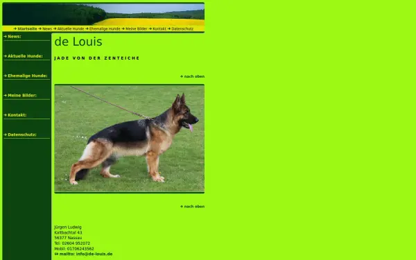 de-louis.de