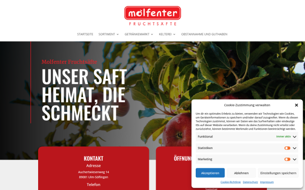 molfenter-ulm.de