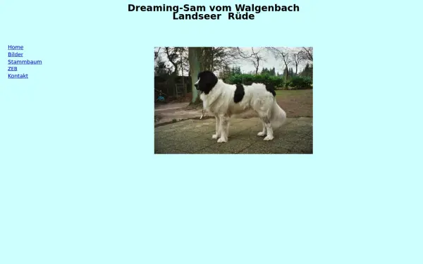 dreaming-sam.de