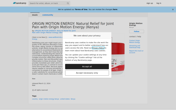 originmotionenergy.bandcamp.com