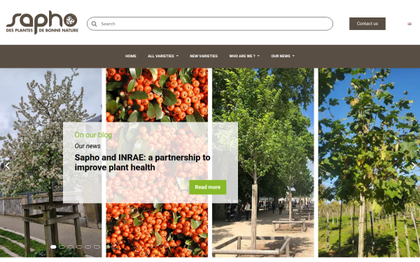 www.sapho.fr