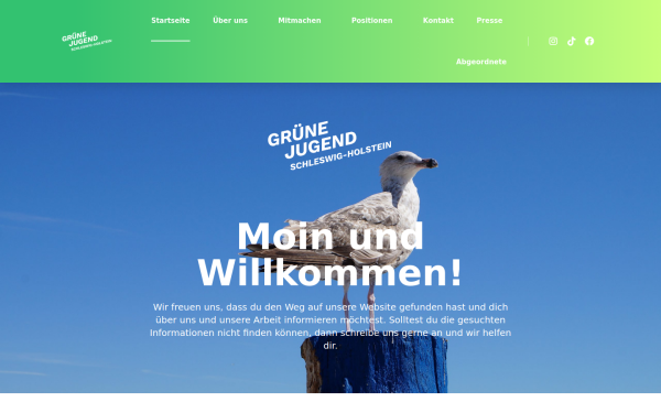gruenejugend-sh.de
