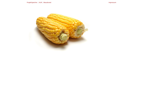 www.maisbase.de