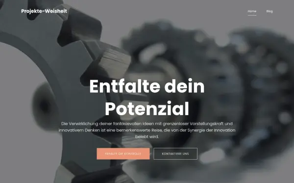 ing-weisheit.de