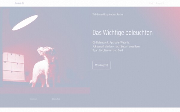 bolne.de