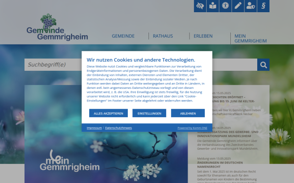 www.gemmrigheim.de