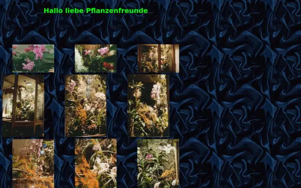 max-ruef.de