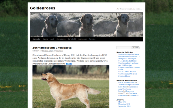 golden-roses.de