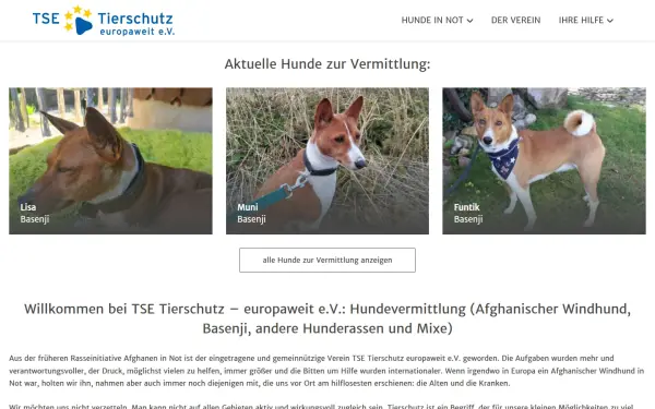 www.tierschutz-europaweit.de