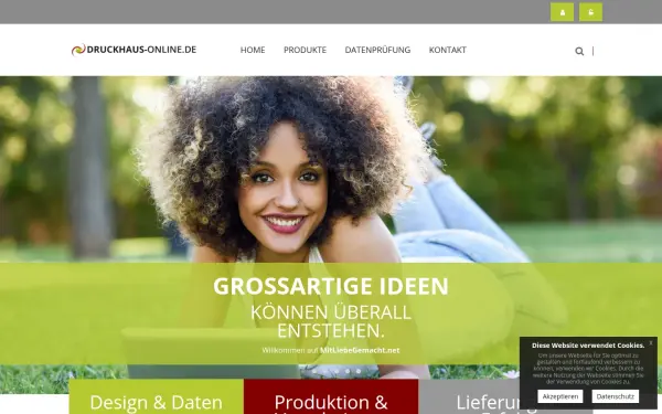 druckhaus-online.de
