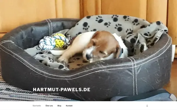 hartmut-pawels.de