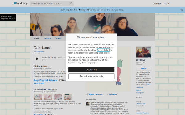 shyboys.bandcamp.com