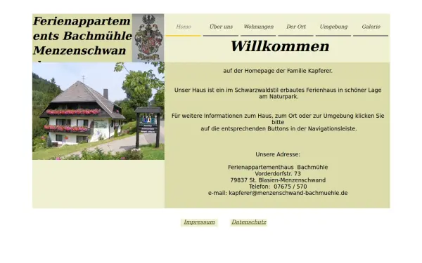 menzenschwand-bachmuehle.de