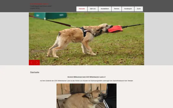 ardennentreibhund.de