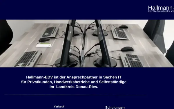 hallmann-edv.de