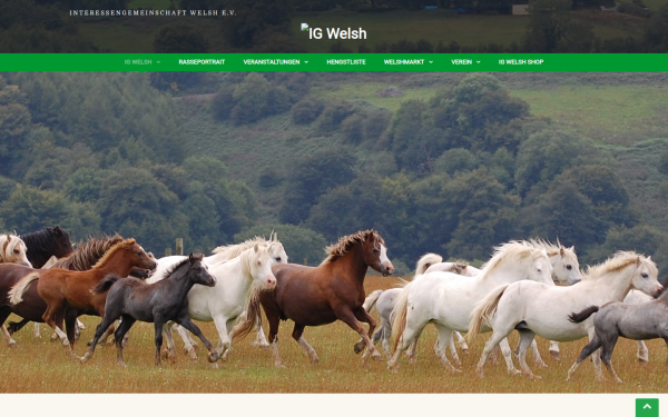 www.ig-welsh.de