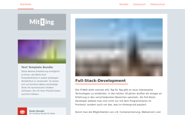 www.mitting.de