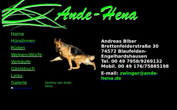 ande-hena.de