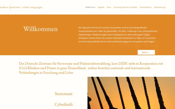 www.dzsp.de