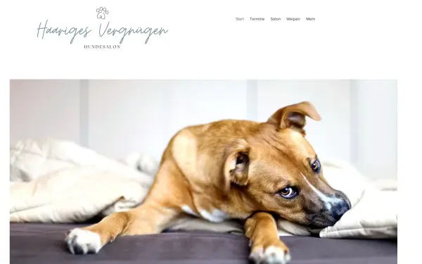 www.hundefriseur-cloppenburg.de