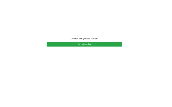 b1.boominfo.co