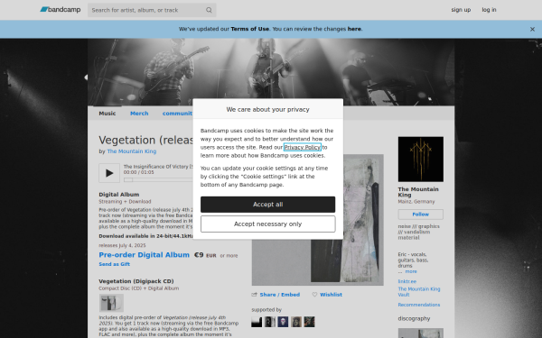themountainking.bandcamp.com