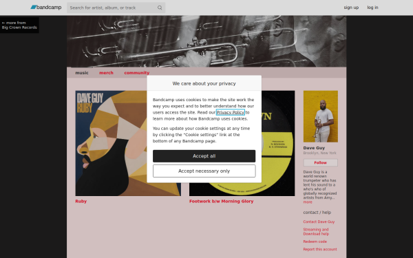 daveguy.bandcamp.com