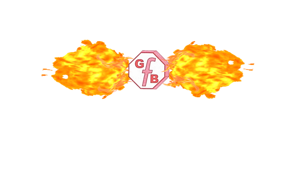 www.brandschutztechnik-goetz.com