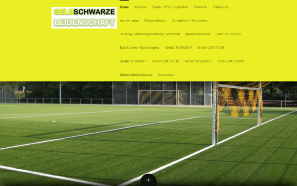 www.gsvpleidelsheim-jugendfussball.de
