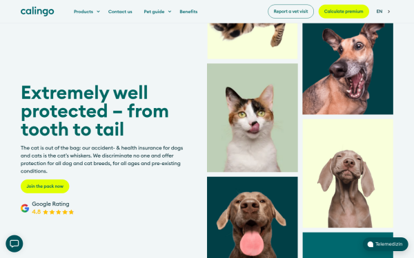 pet.calingo.ch