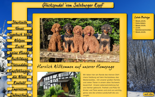 www.glueckspudel.de