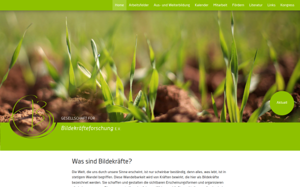 www.bildekraefte.de
