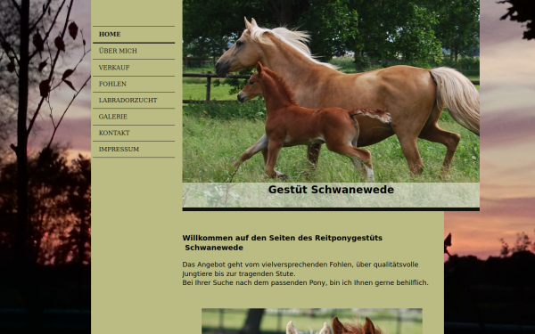 www.gestuet-schwanewede.de
