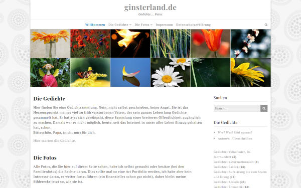 www.ginsterland.de
