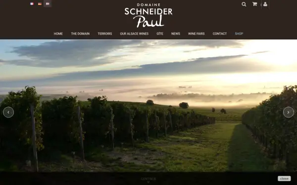 vins-paul-schneider.fr
