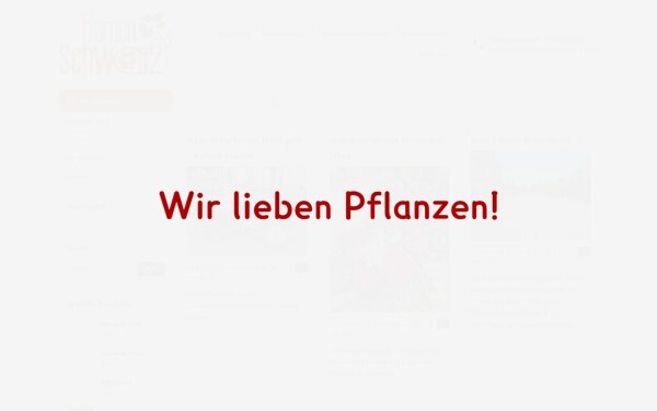 www.blumen-schwarz.de