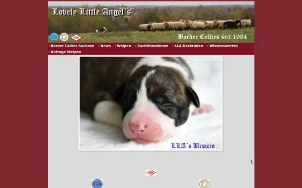 lovely-little-angels.de