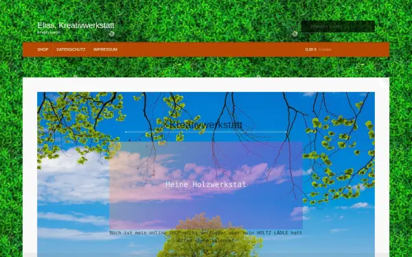 aufsitzkehrmaschine.de