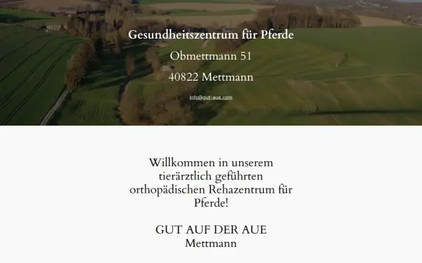 gut-aue.com