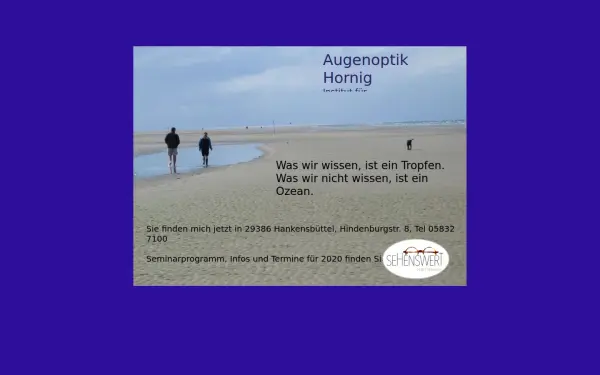 augenoptik-hornig.de