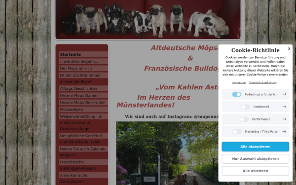 www.mops-und-bully.de