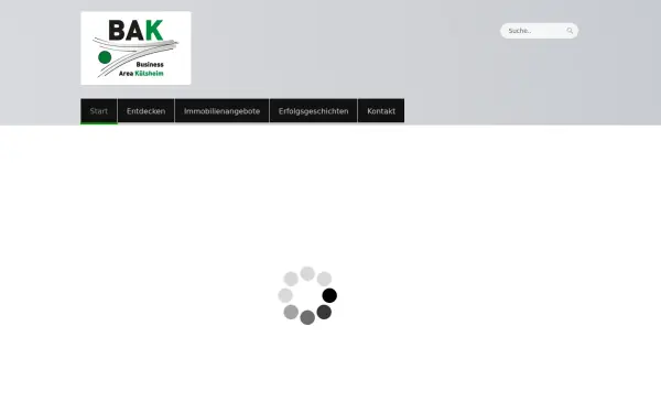 bak-kuelsheim.com