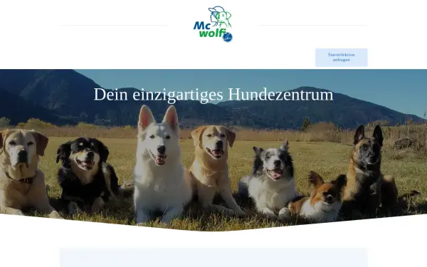 mcwolfi.de